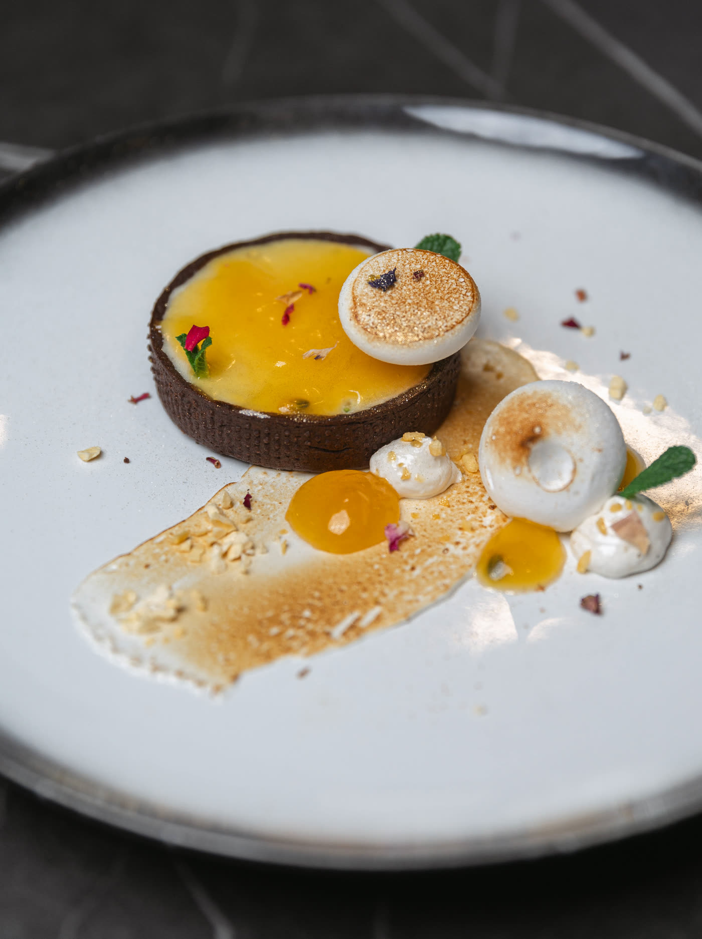 A plated dessert photographed close in daylight — chocolate tart, passion fruit gel and torched meringue on a pale ceramic plate.